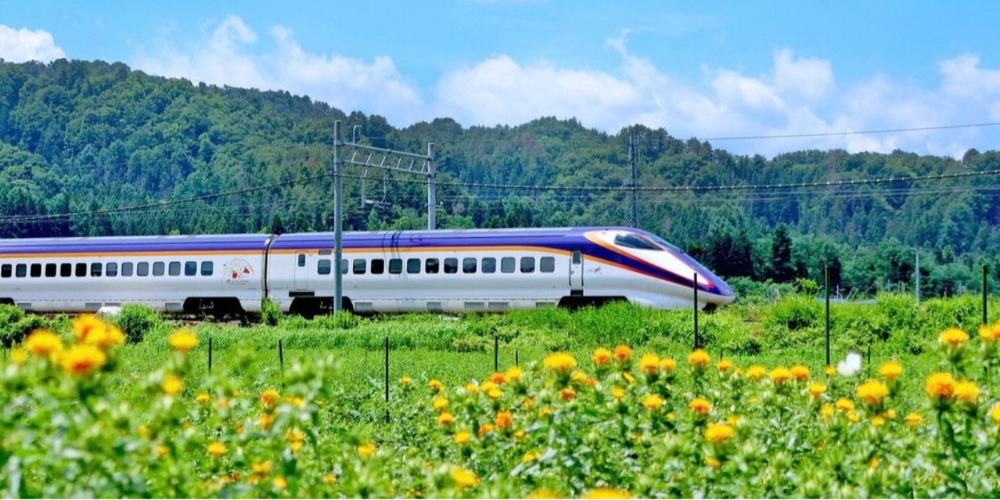 保険の常識を変え世の中を変えていく